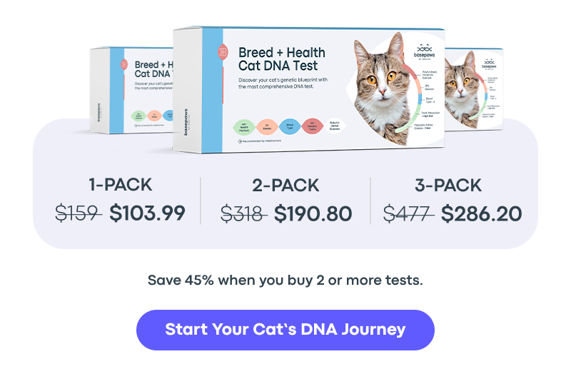 Start Your Cat's DNA Journey