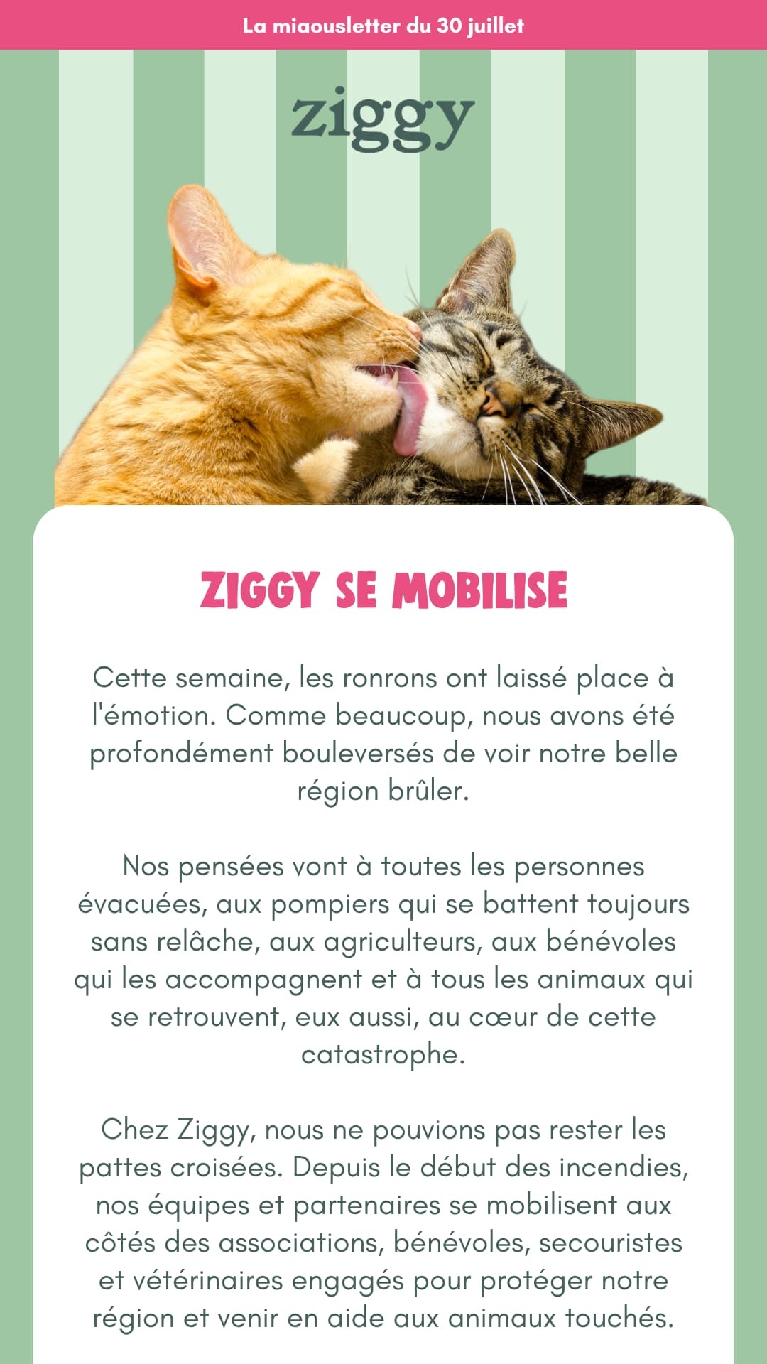 Ziggy