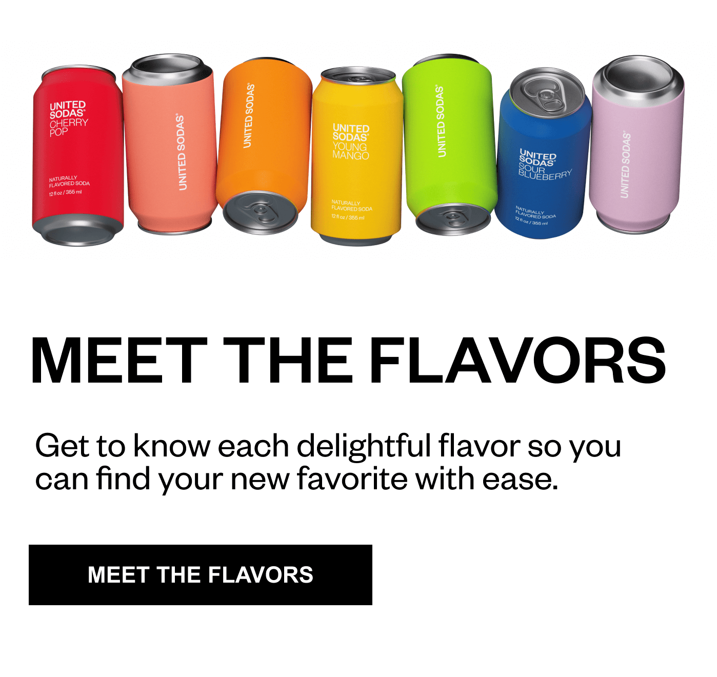 MEET THE FLAVORS 