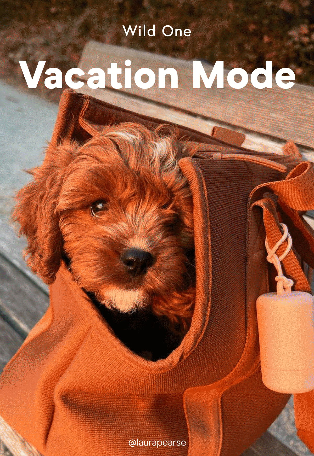 Vacation Mode