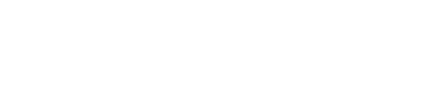 Call Your Mother Bagel Sandwiches