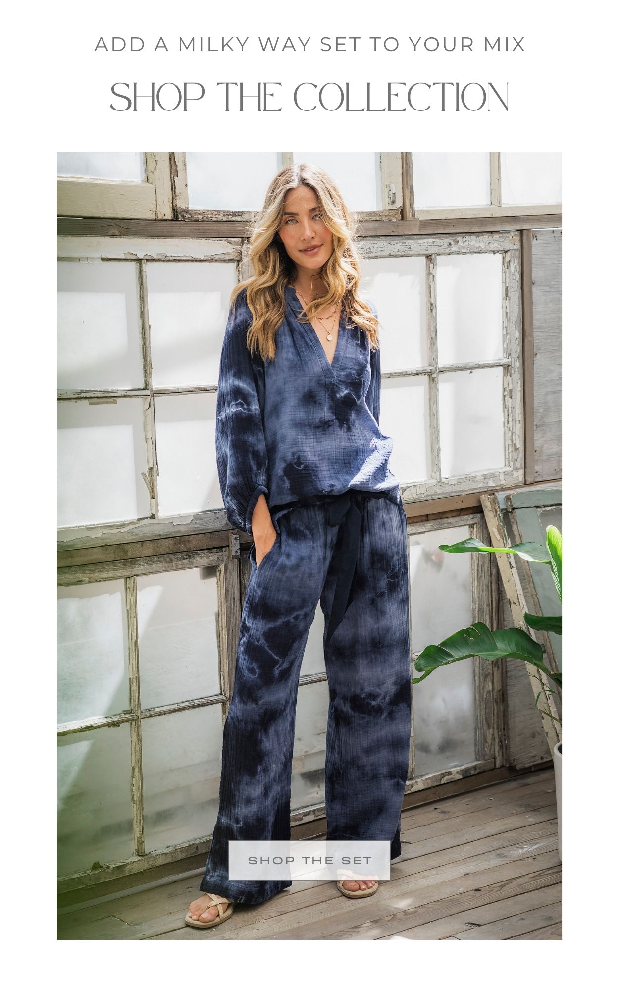 Shop the Collection