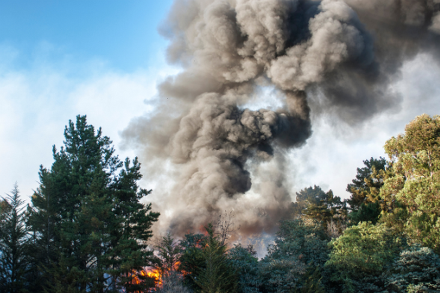 Wildfire smoke rises from forest fire.