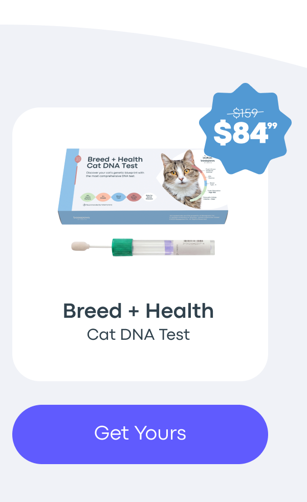 Get Yours - CAT