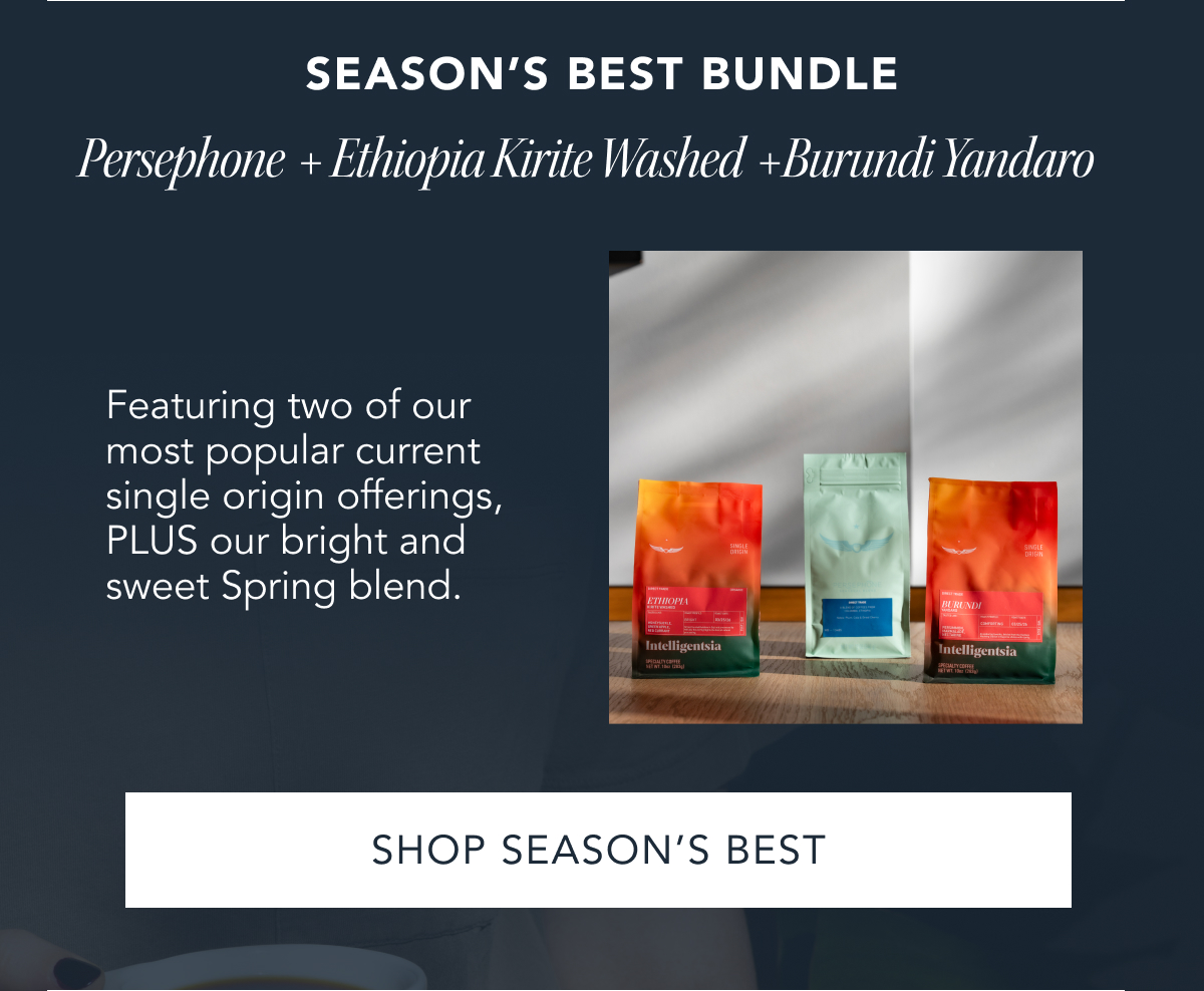 Season's Best Bundle - Persephone + Ethiopia Kirite Washed + Burundi Yandaro. Featuring two of our most popular current single origin offerings, PLUS our bright and sweet Spring blend. | SHOP SEASON'S BEST 