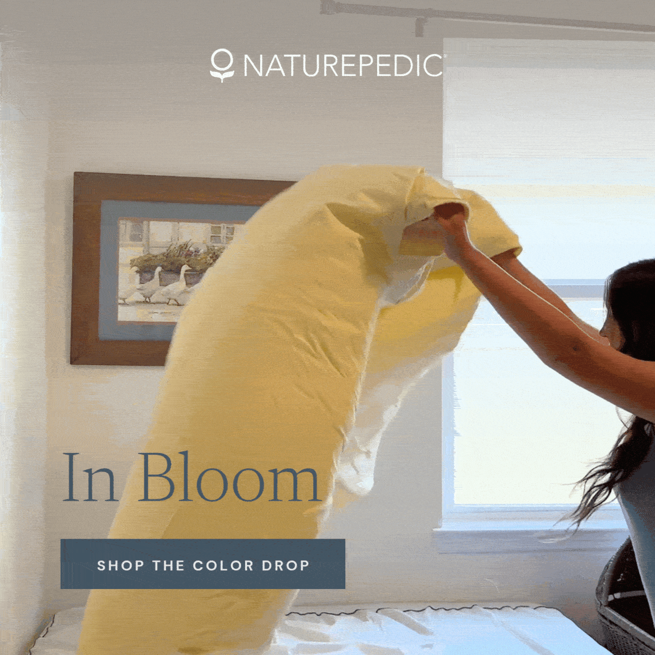 Percale Sheets