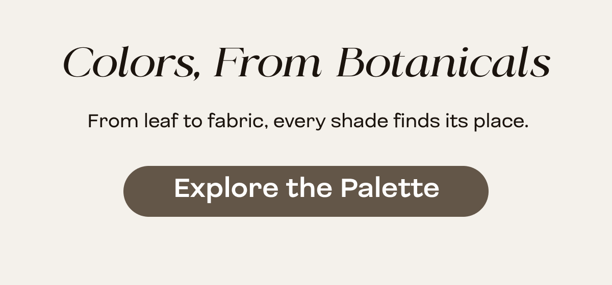 Explore the Palette