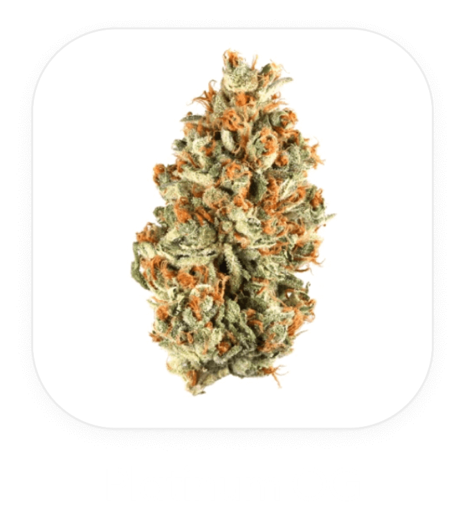 PLatinum OG
