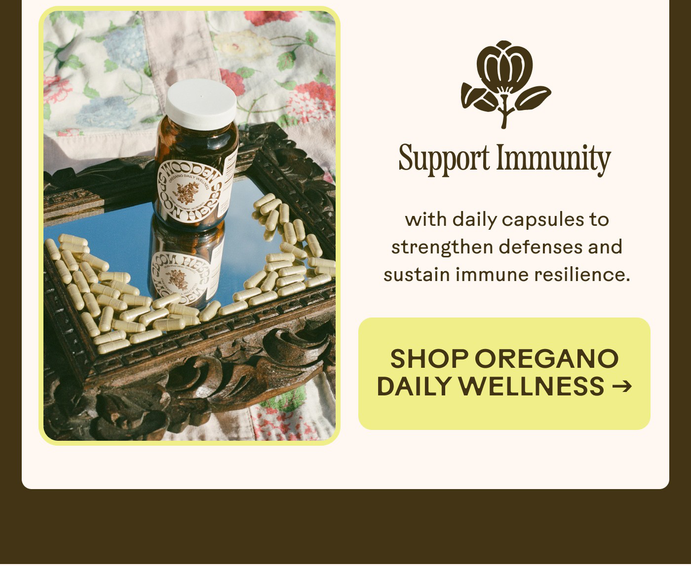 Support Immunity with daily capsules to strengthen defenses and sustain immune resilience. |  Shop Oregano Daily Wellness