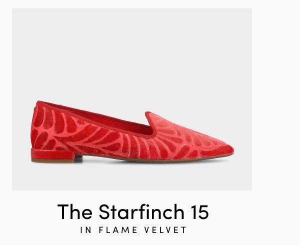 The Starfinch 15 In Flame Velvet