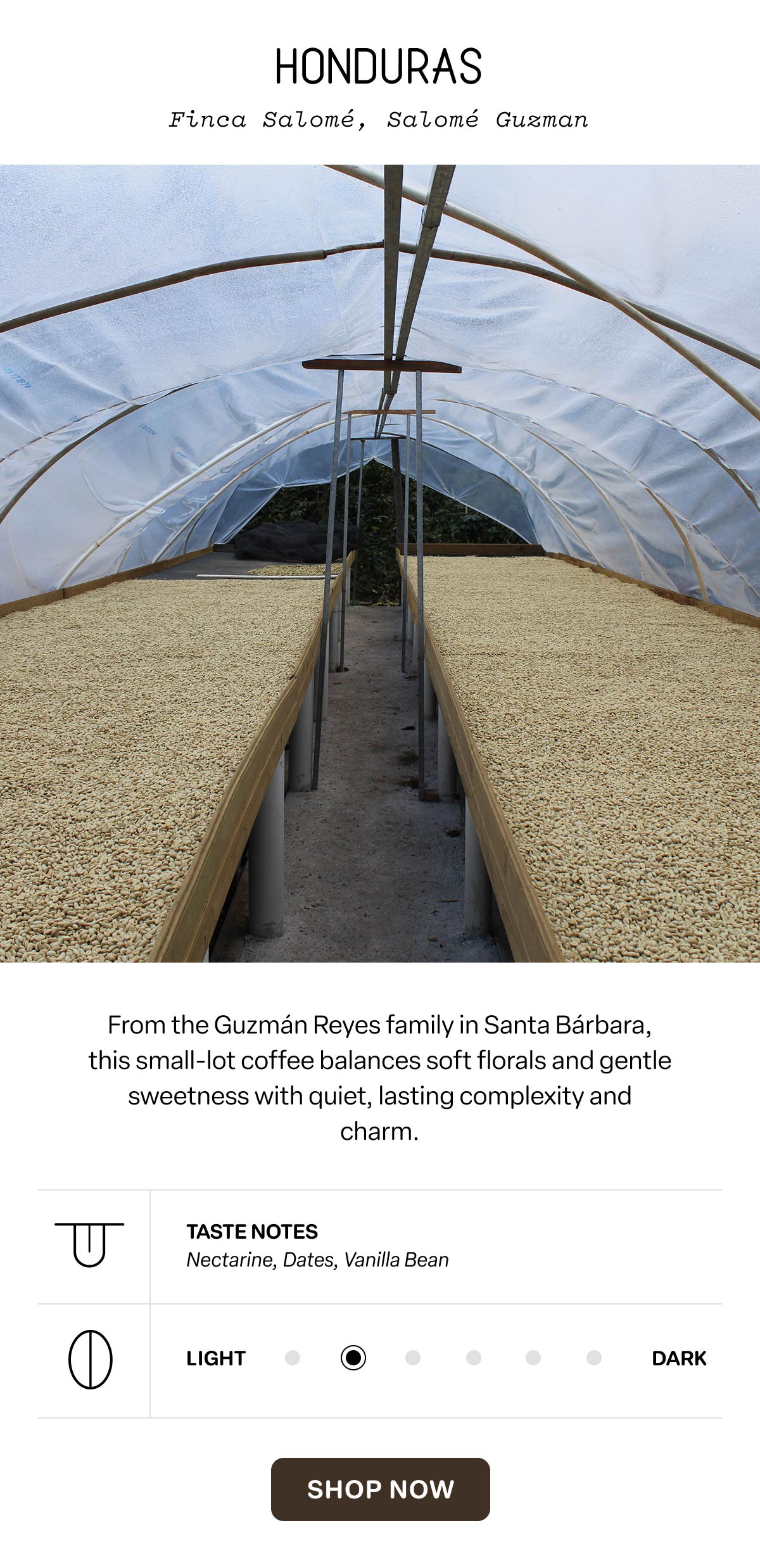 Honduras Finca Salomé