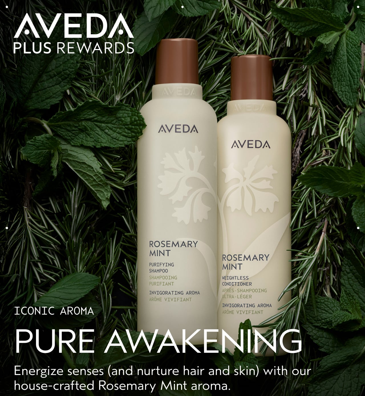 ICONIC AROMA PURE AWAKENING Energize senses and nurture hiar and skin with our house-crafted Rosemary Mint aroma.