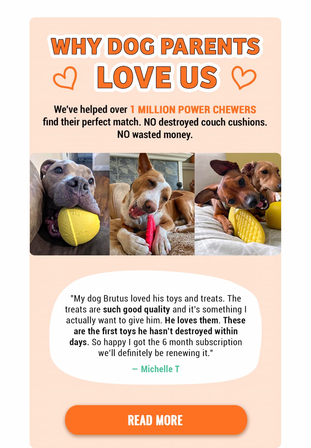 Bullymake Dog Toy Subscription Box