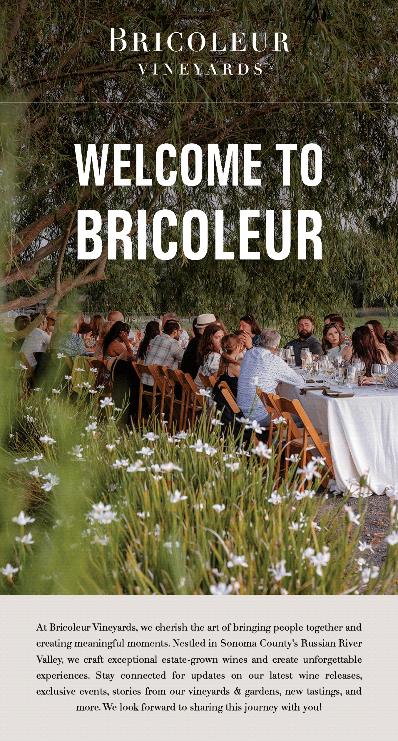 Welcome to Bricoleur Vineyards
