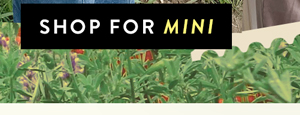 SHOP FOR MINI