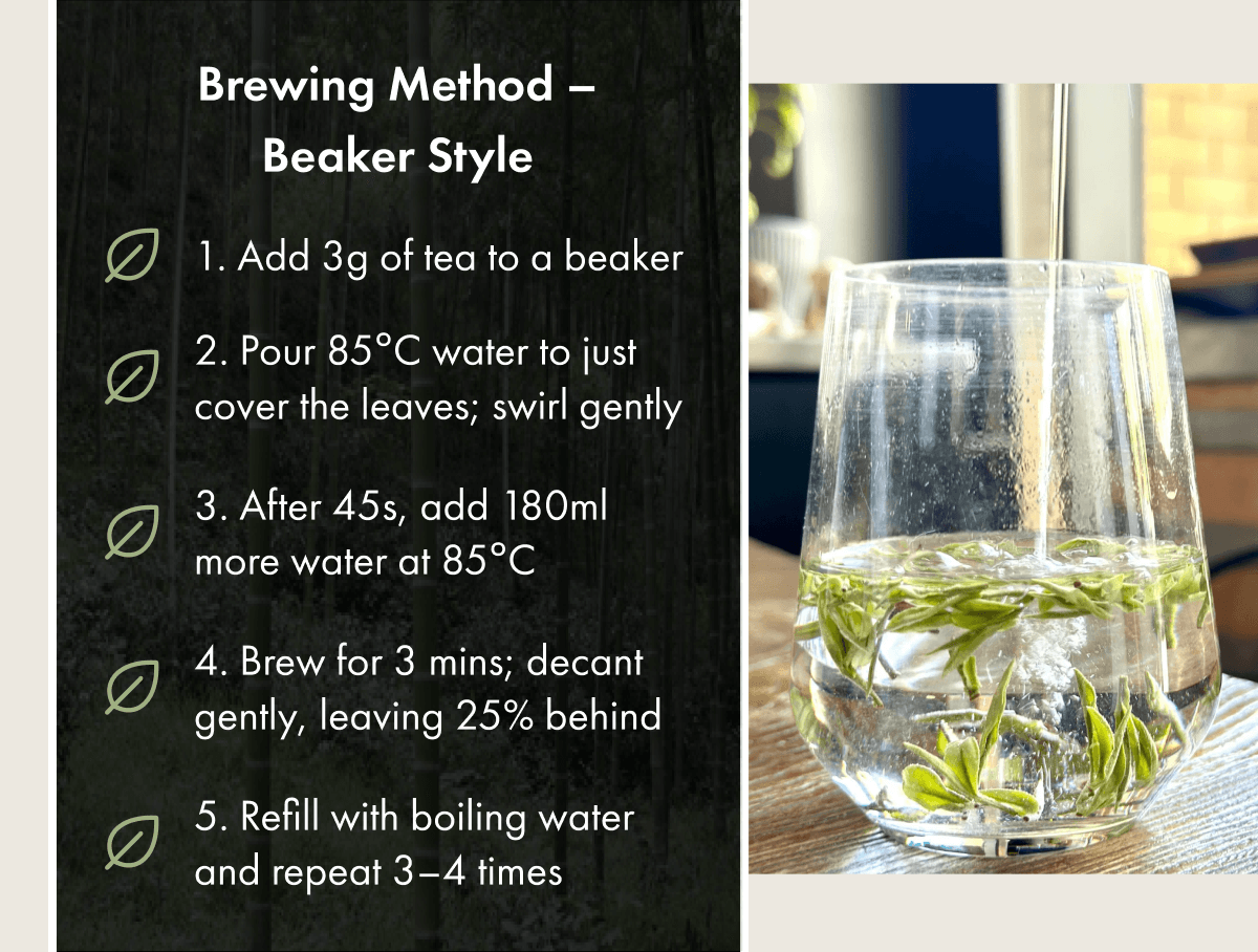 Brewing Method – Beaker Style 1. Add 3g of tea to a beaker 2. Pour 85°C water to just cover the leaves; swirl gently 3. After 45s, add 180ml more water at 85°C 4. Brew for 3 mins; decant gently, leaving 25% behind 5. Refill with boiling water and repeat 3–4 times