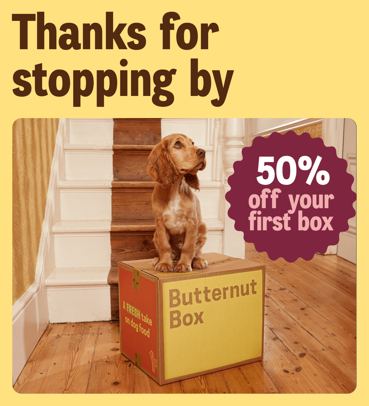 Thanks for stopping by
