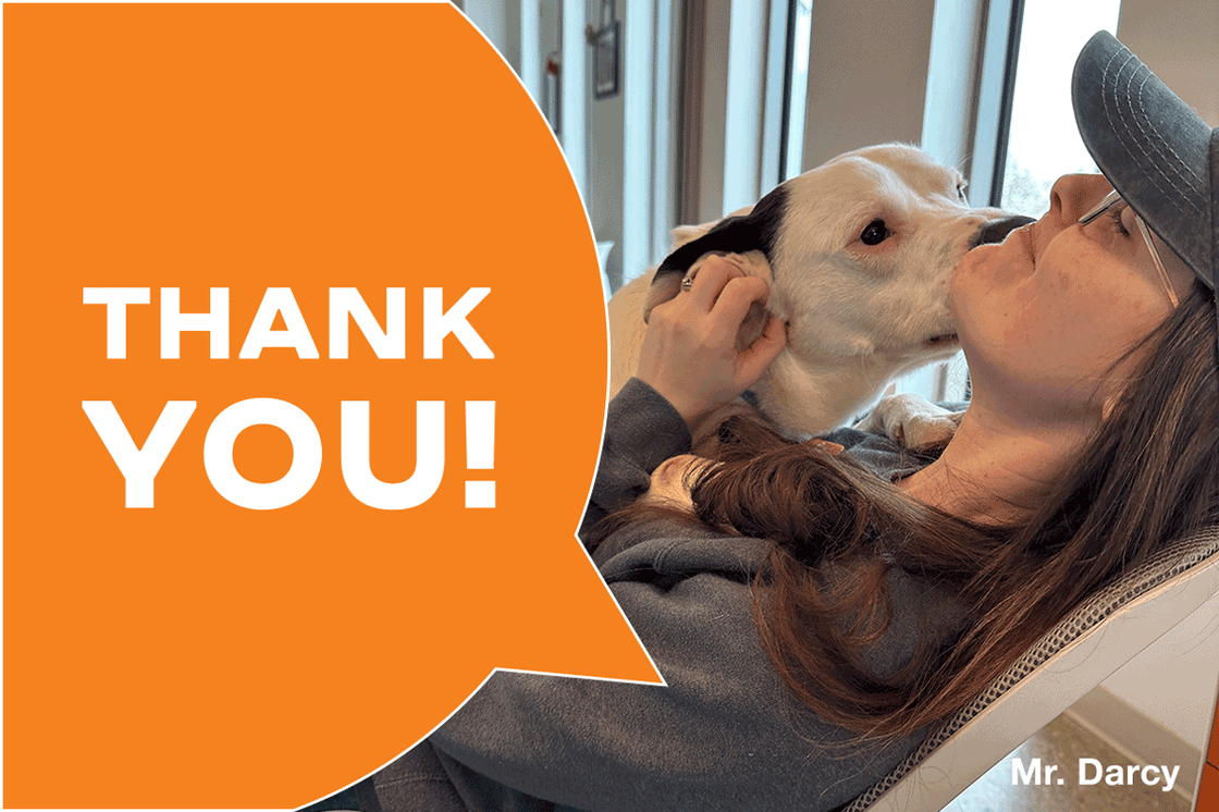 Mr. Darcy the dog kissing a lady and saying thank you