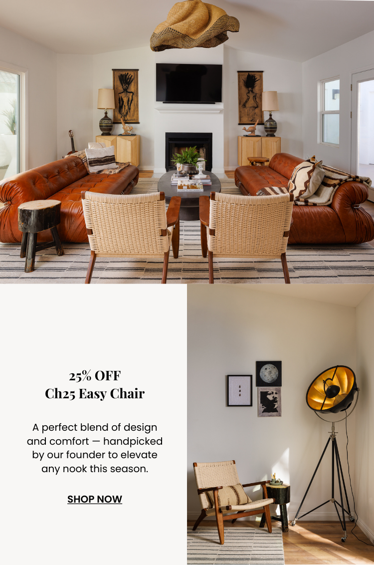 Ch25 Easy Chair