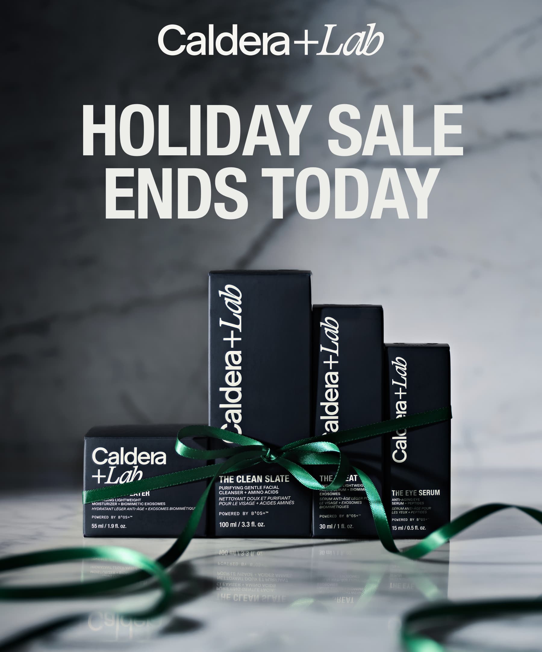 HOLIDAY SALE ENDS TODAY