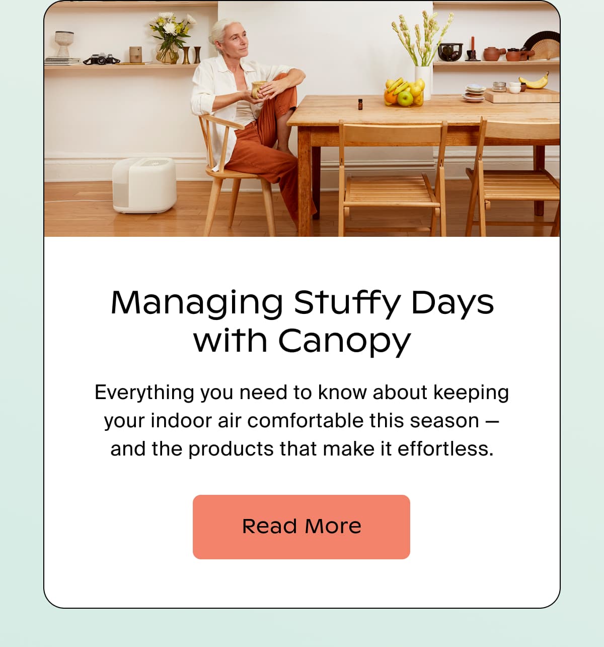 Managing Stuffy Days with Canopy | Everything you need to know about keeping your indoor air comfortable this season — and the products that make it effortless. | Read More