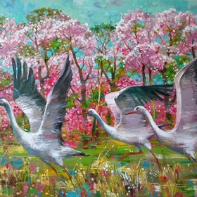 Storks on a Flower Meadow