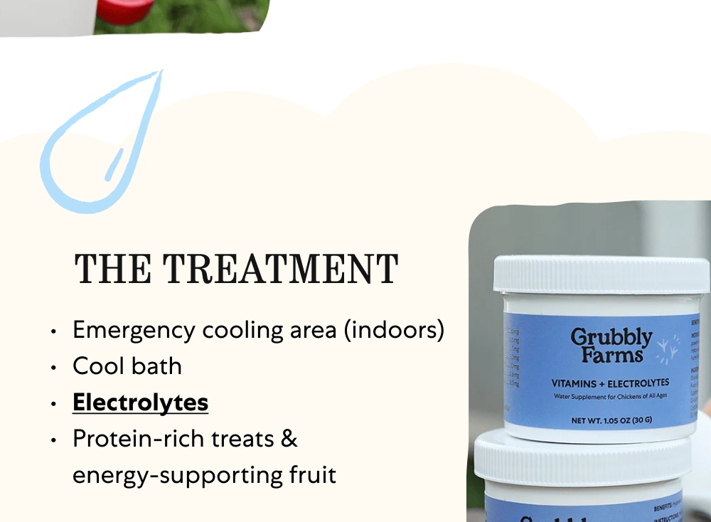 THE SIGNS Panting & rapid breathing Pale comb & wattles Diarrhea Decreased eating & drinking Droopiness & lethargy See the Full List THE PREVENTION Refreshing water Supplemental electrolytes Proper ventilation & fans Frozen treats Shade Read More on Prevention THE TREATMENT Emergency cooling area (indoors) Cool bath Electrolytes Protein-rich treats & energy-supporting fruit Get the Full Breakdown Stay One Step Ahead with Vitamins + Electrolytes Eggstra support for heat stress and seasonal changes Shop Now