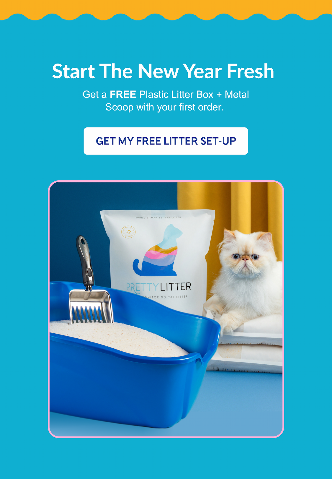 Get a FREE Plastic Litter Box + Metal Scoop with your first order | GET MY FREE LITTER SET UP
