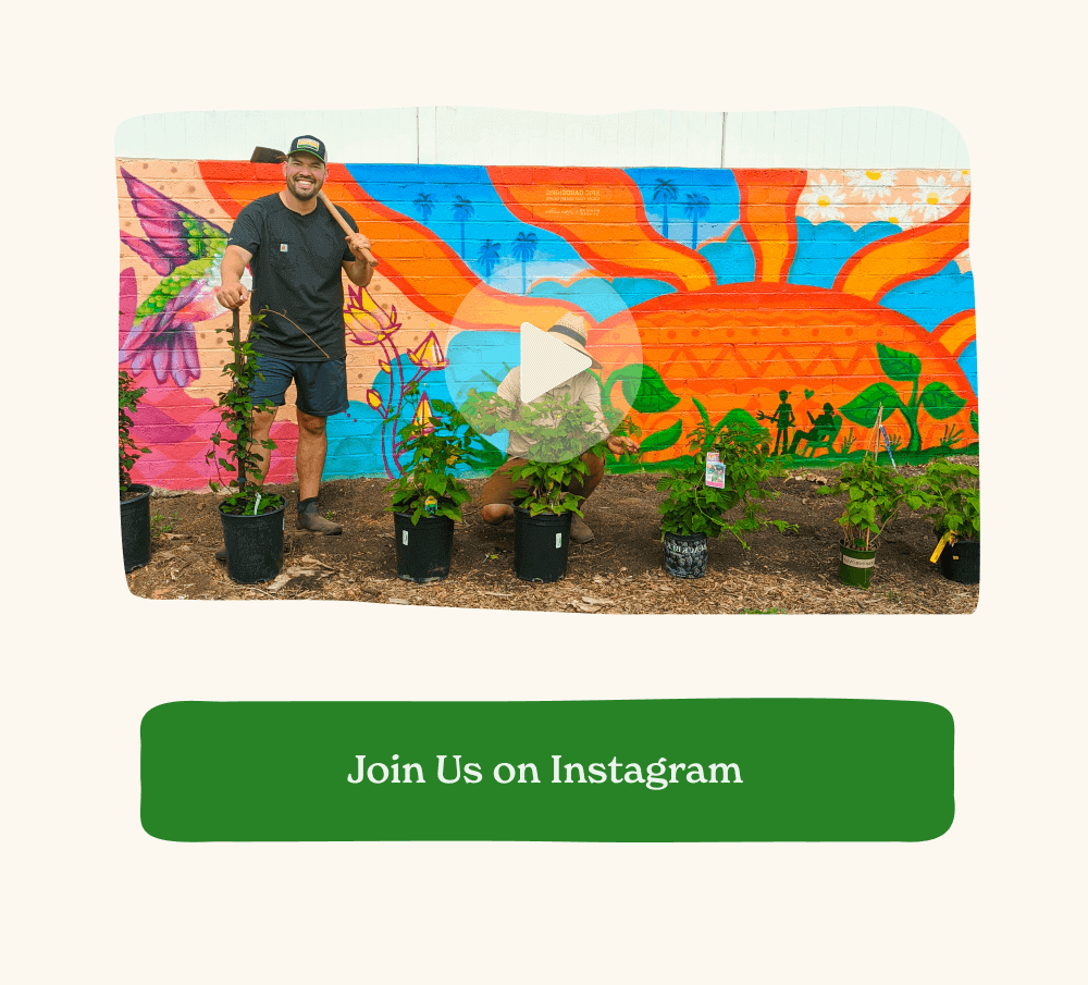 [ Swipe Our Sweet Instagram Videos ]