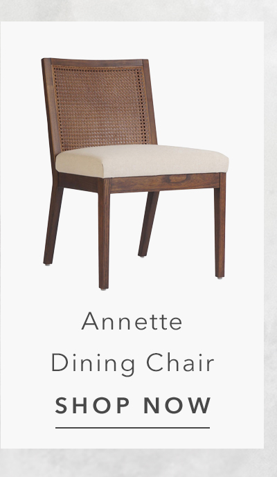 Annette Modern Classic Dark Brown Cane Wood Frame White Performance Dining Side Chair