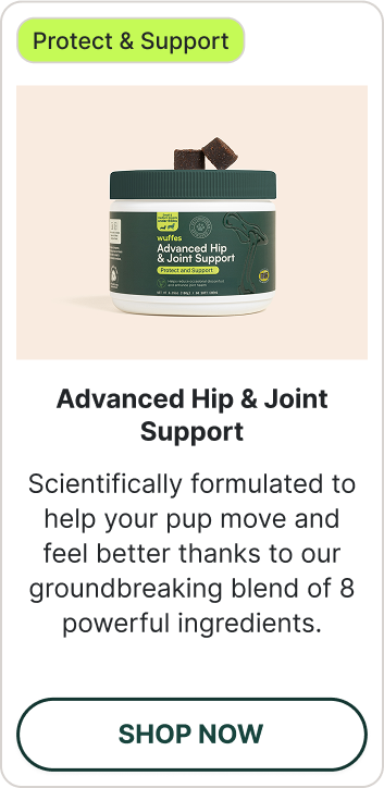 Shop Advanced Joint Chews