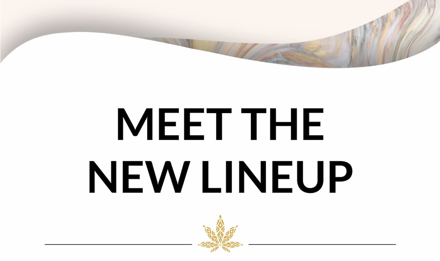 Meet The New Lineup
