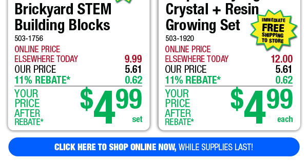 Purple Ladybug® Crystal + Resin Growing Set - ONLY $4.99 After Rebate*!