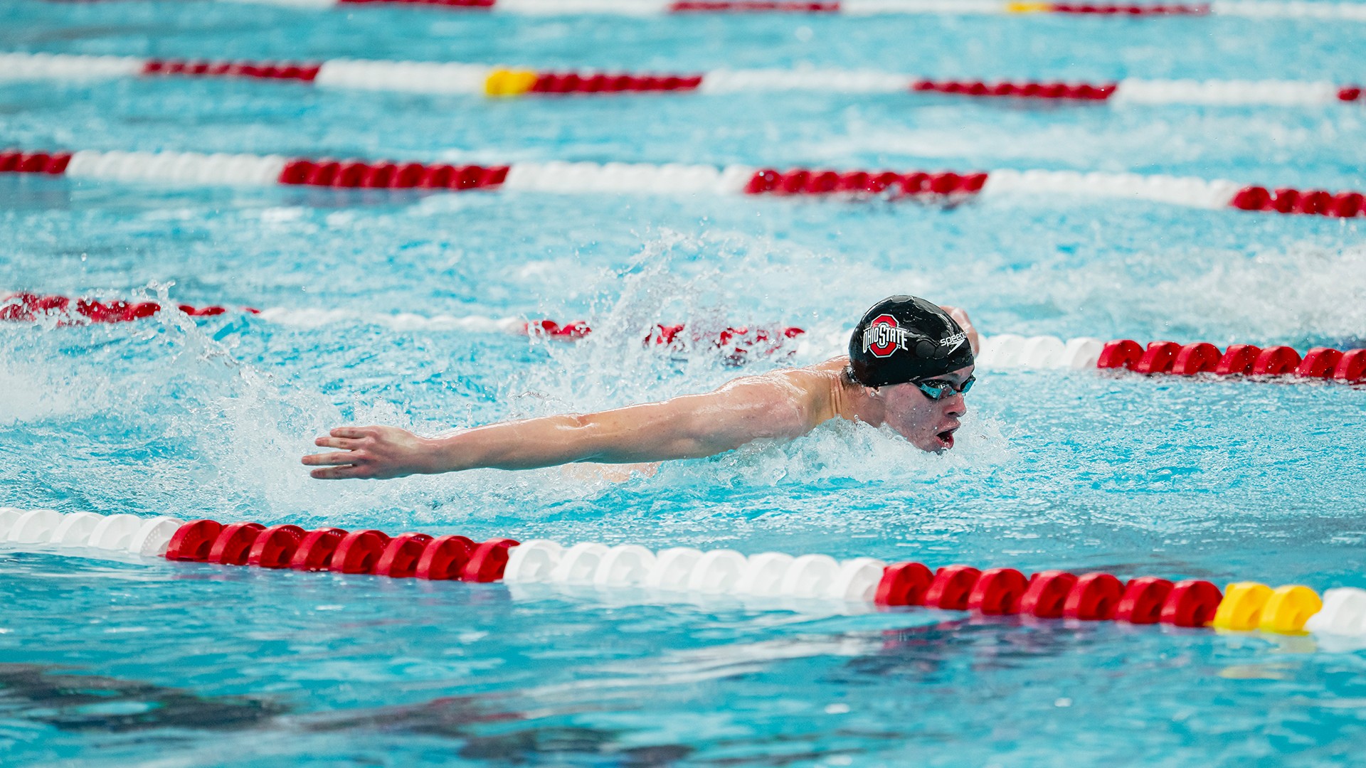 READ MORE | No. 16 Men's Swim & Dive