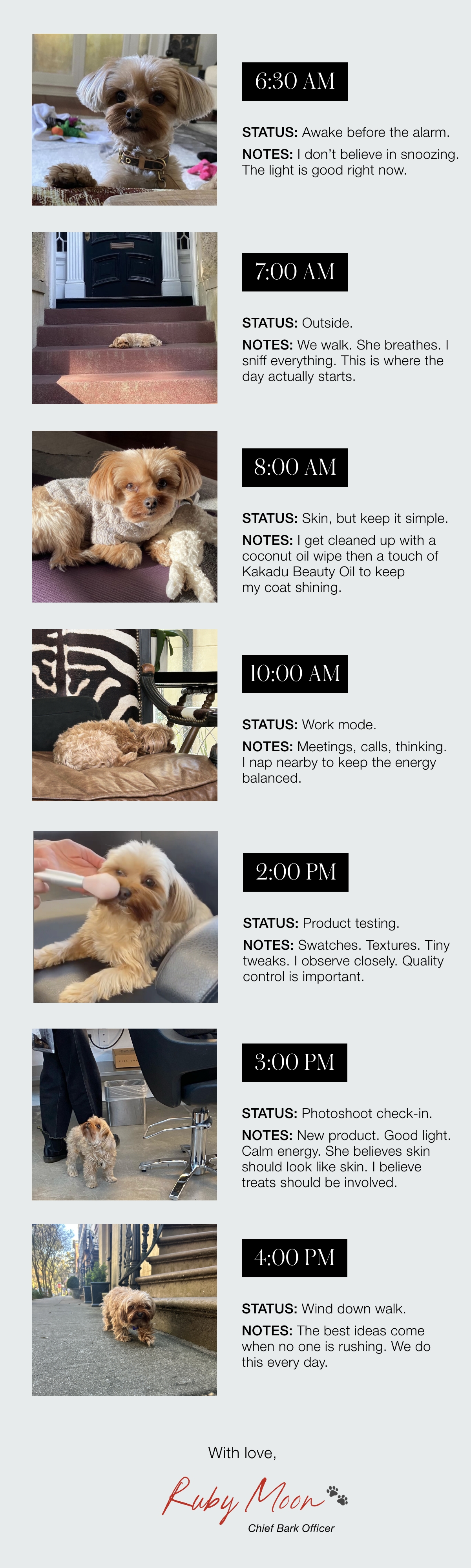 Spend The Day With Our Chief Bark Officer Ruby Moon