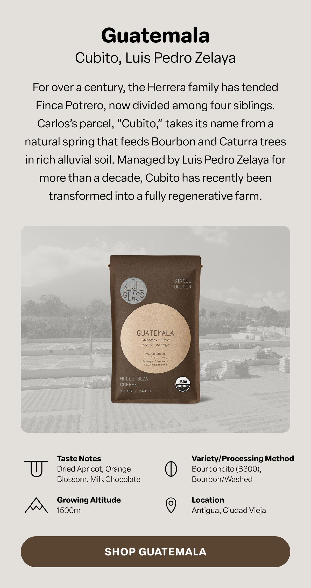Shop Guatemala, Cubito, Luis Pedro Zelaya