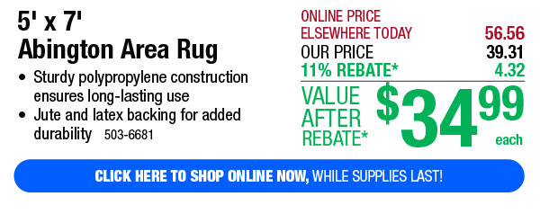 5' x 7' Abington Area Rug - Free Shipping To Store!