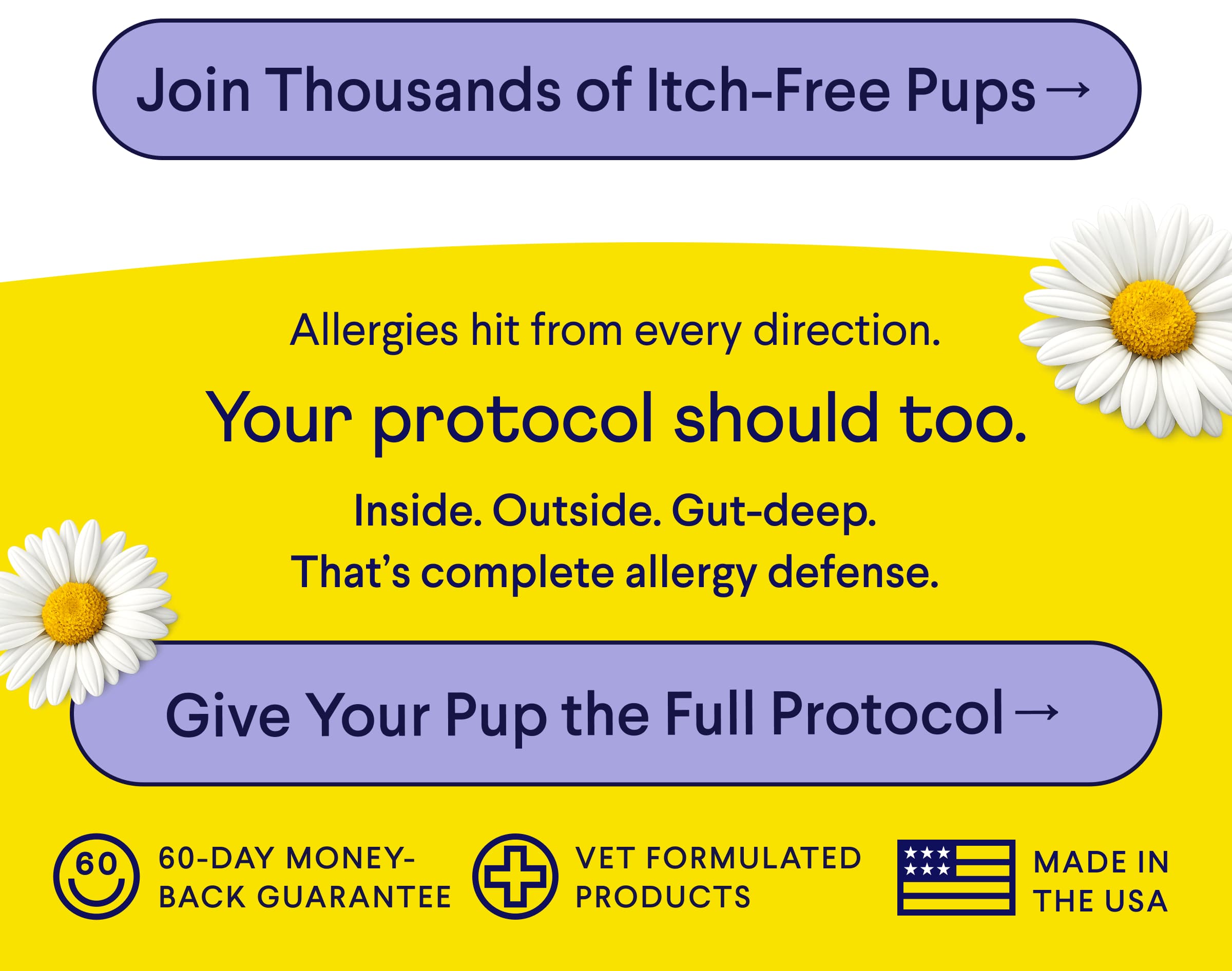 Text: CTA: Join Thousands of Itch-Free Pups –> | Allergies hit from every direction. Your protocol should too. Inside. Outside. Gut-deep. That’s complete allergy defense. CTA: Give Your Pup the Full Protocol → Badges: 60-DAY HAPPINESS GUARANTEE | VET FORMULATED PRODUCTS | MADE IN THE USA