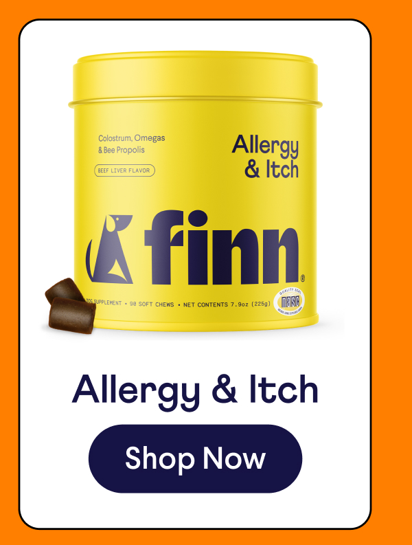 Allergy & Itch | Shop Now