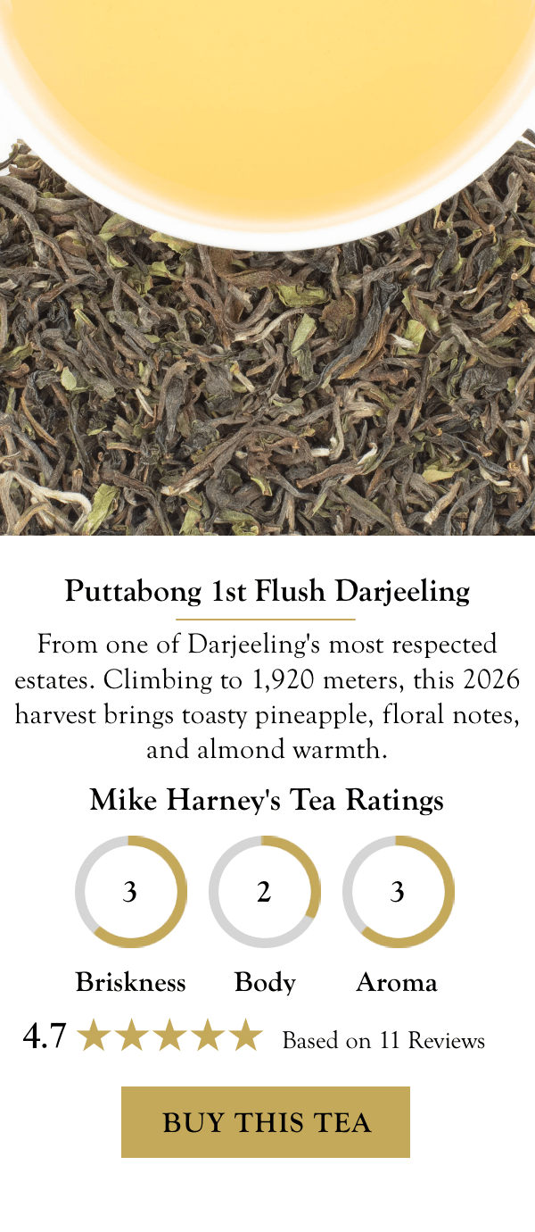 Puttabong 1st Flush