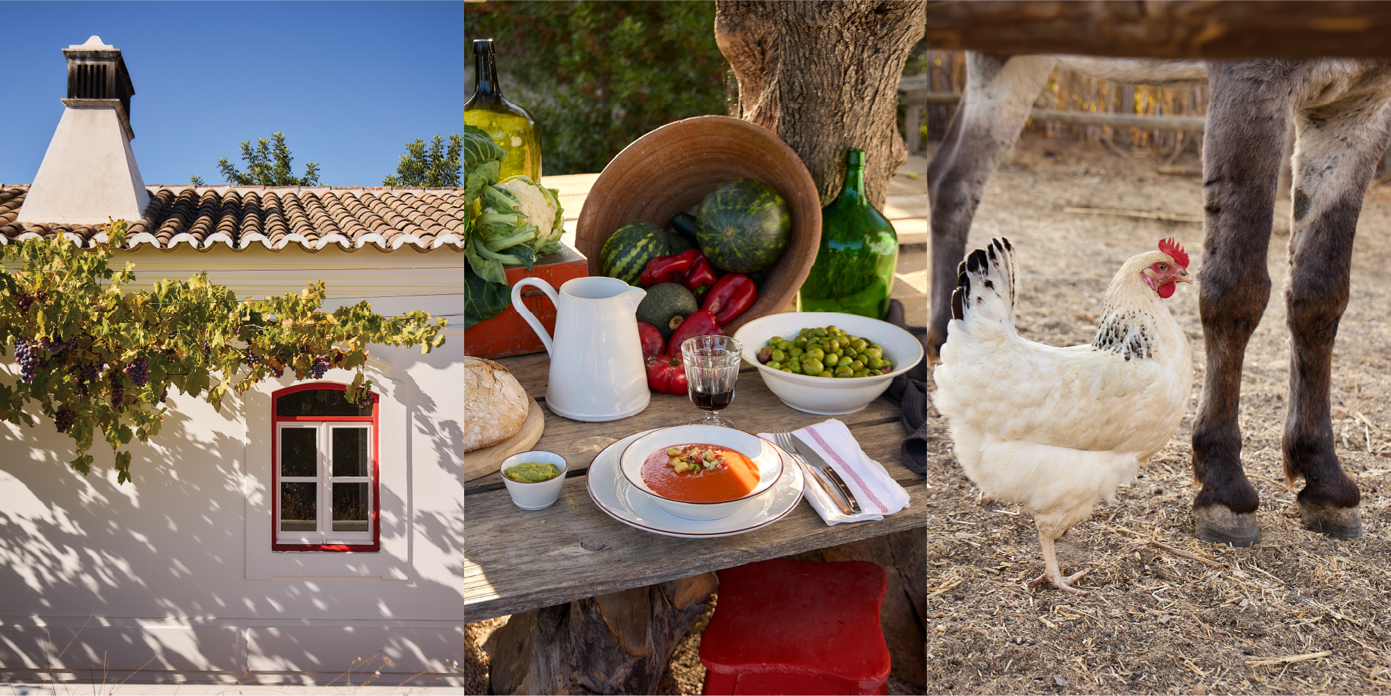 Text about Pensão Agrícola, near Tavira, and a rustic table in the shade of a centuries-old olive tree with pieces from the Beja collection. Block of three photographs: a white façade with a red-framed window, an outdoor table set with Beja tableware and fresh vegetables, and a white hen beside the legs of an animal