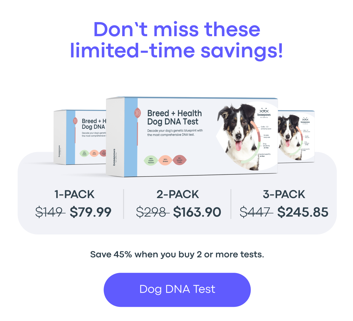 Dog DNA Test
