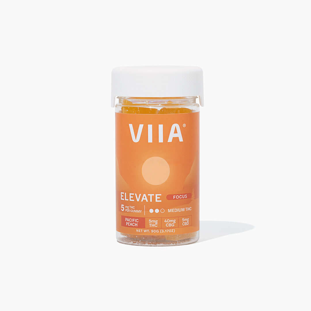 Image of Elevate Focus Gummies - 5mg THC