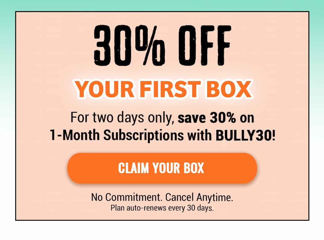 Bullymake Dog Toy Subscription Box