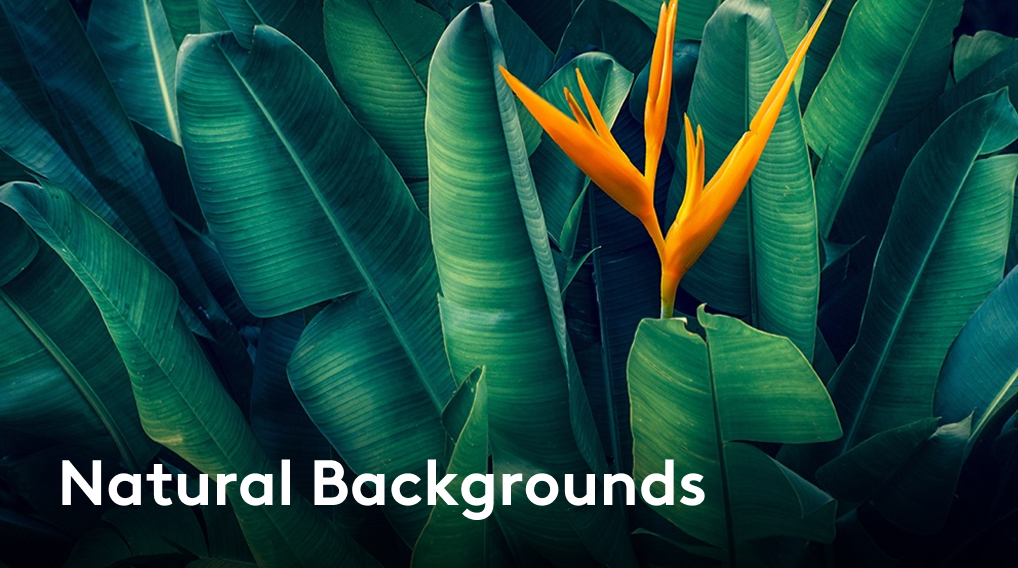 Natural Backgrounds