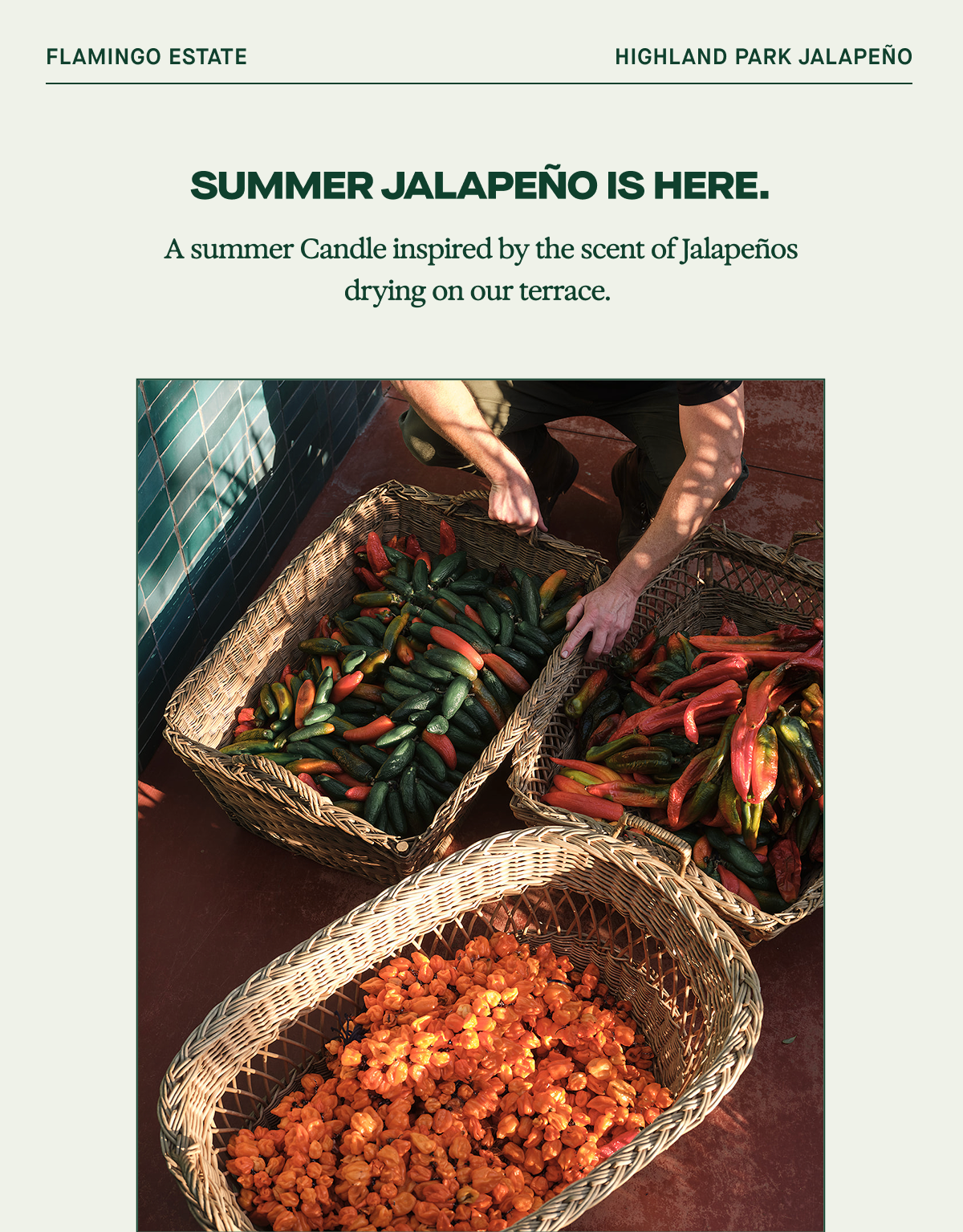 Jalapeno Candle