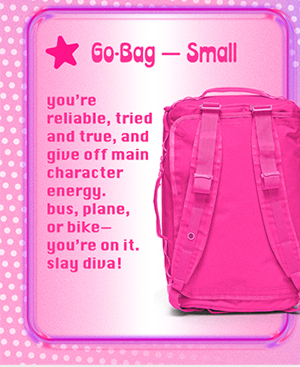 go bag small