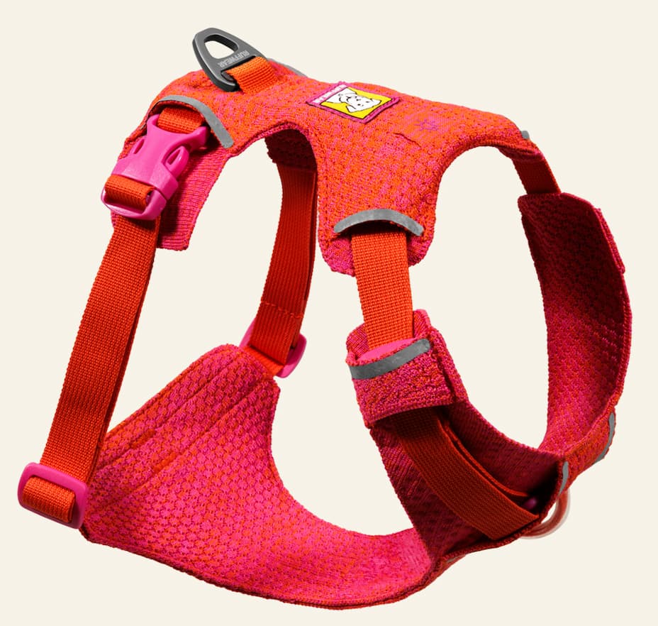Front Range® Flex Harness in Rose Violet