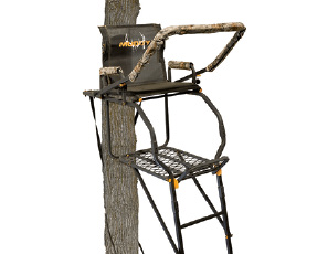 Tree Stands ›
