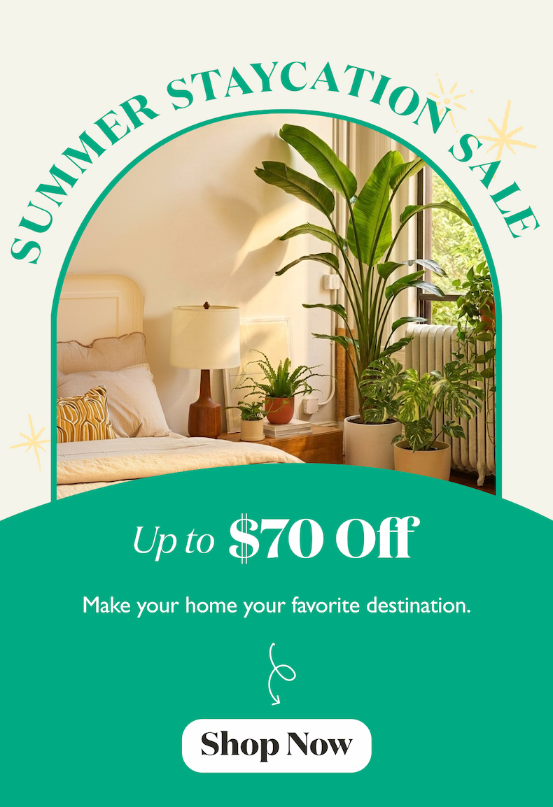 Summer Staycation Sale: Make your home your favorite destination. 